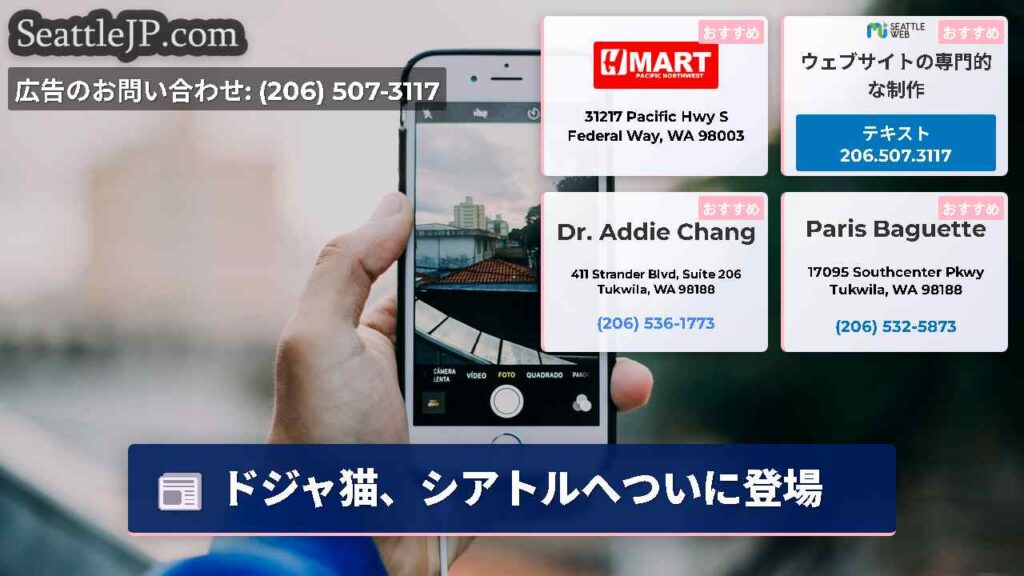 シアトルニュース 5 ドジャ猫、シアトルへついに登場