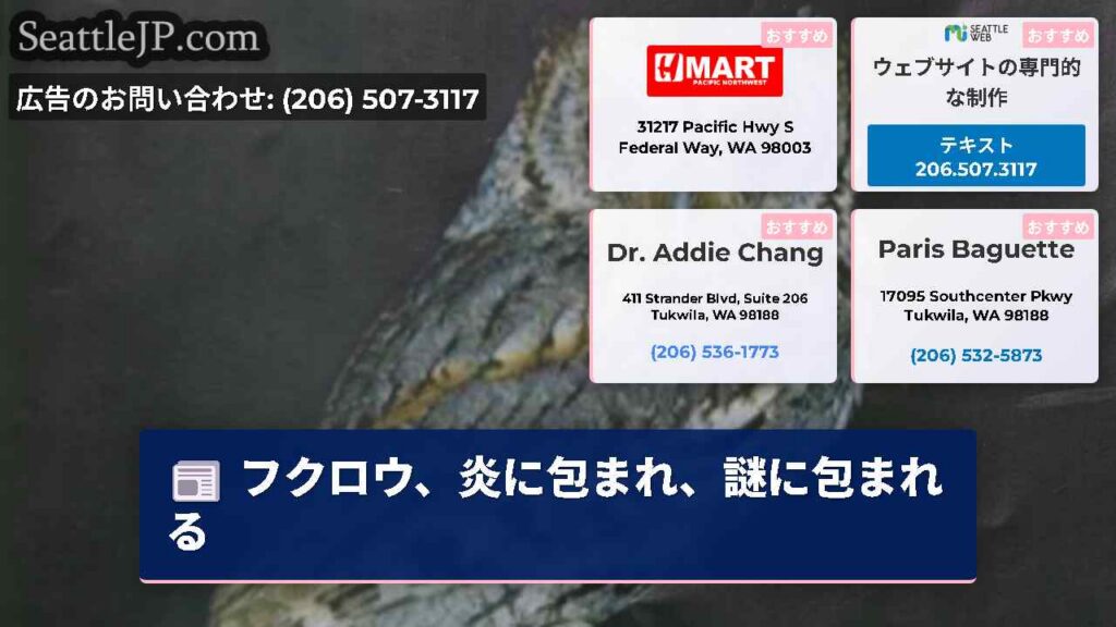 シアトルニュース 1 フクロウ、炎に包まれ、謎に包まれる