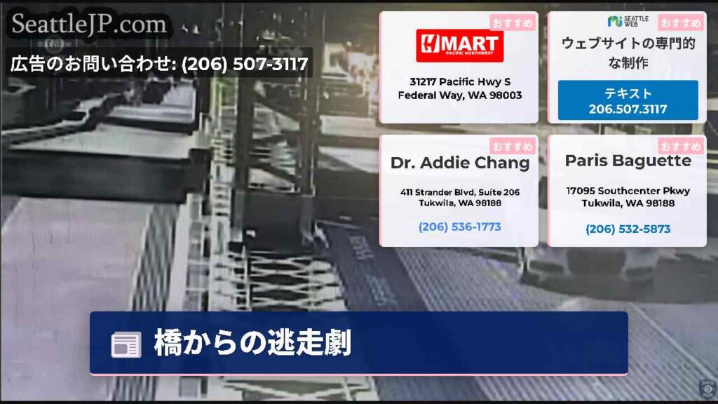 橋からの逃走劇