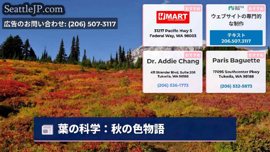 葉の科学：秋の色物語