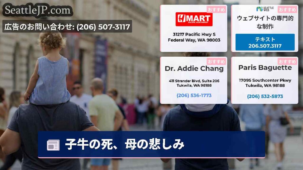 シアトルニュース 1 子牛の死、母の悲しみ