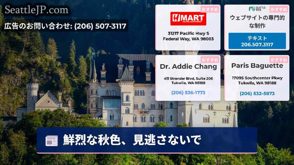 シアトルニュース 2 鮮烈な秋色、見逃さないで