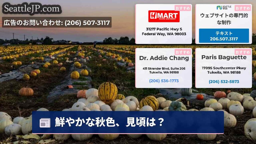 鮮やかな秋色、見頃は？