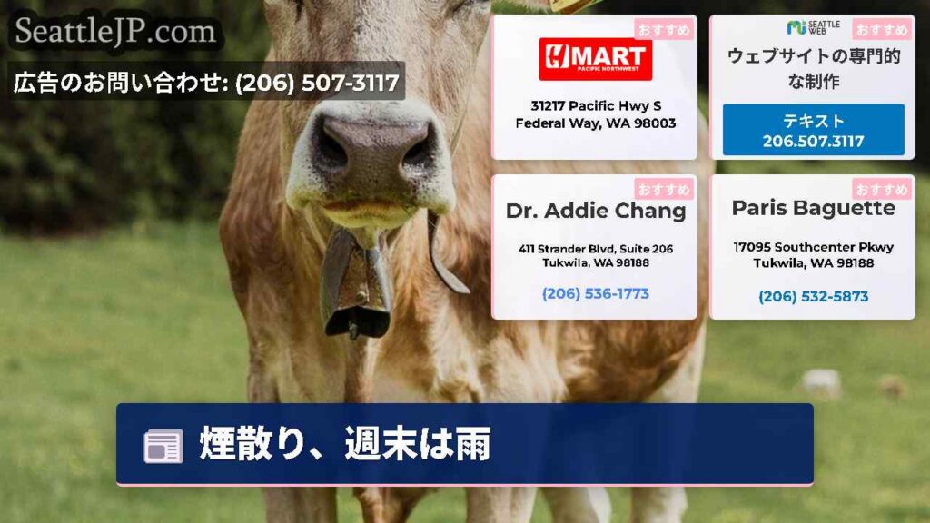 煙散り、週末は雨