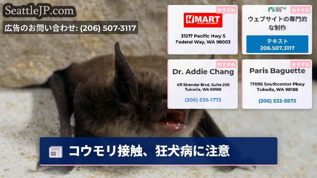 コウモリ接触、狂犬病に注意