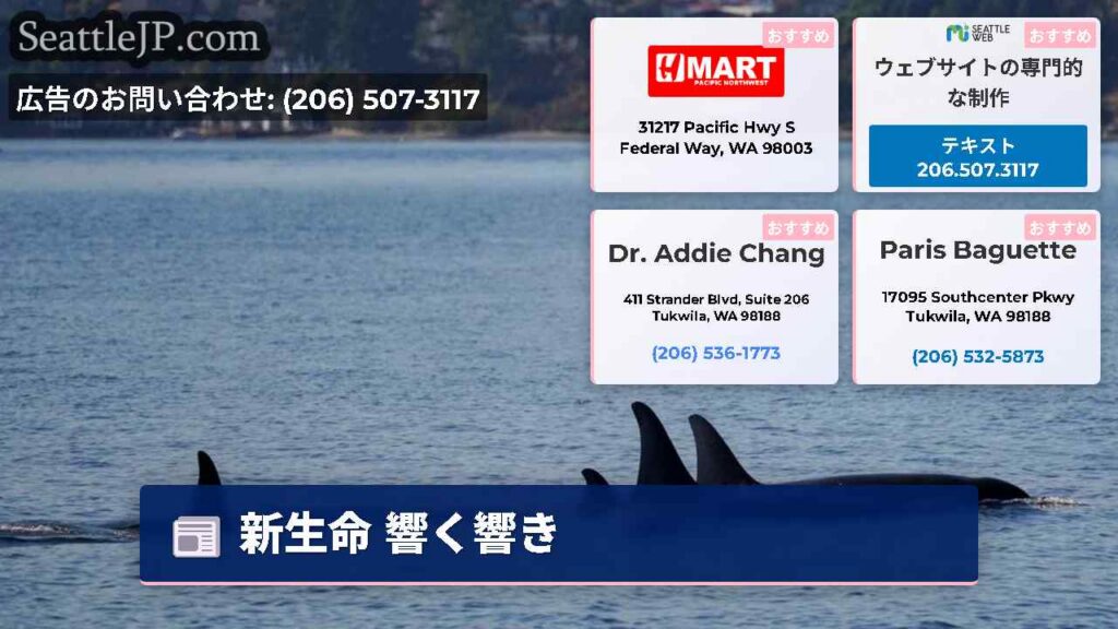 新生命 響く響き