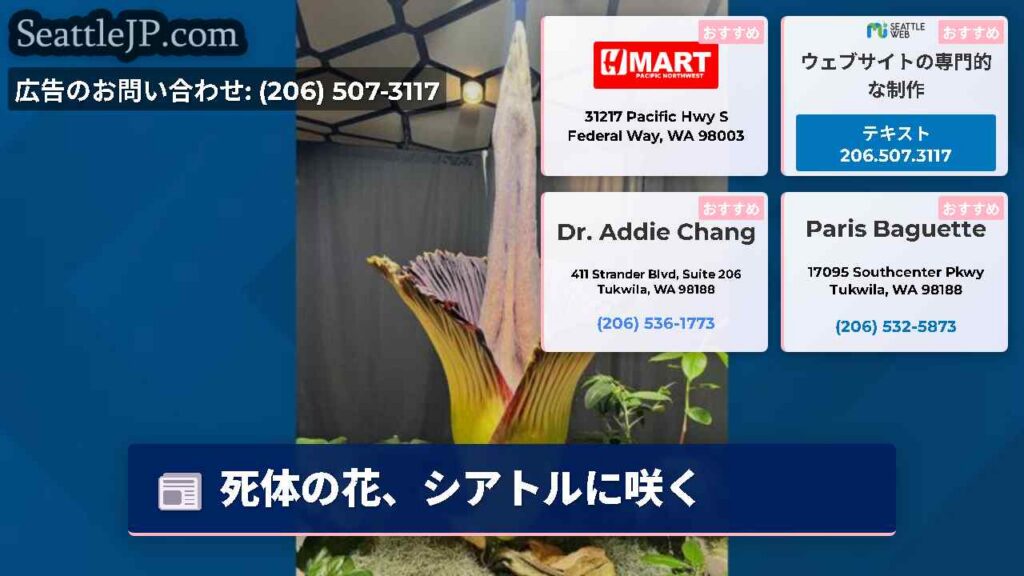 死体の花、シアトルに咲く