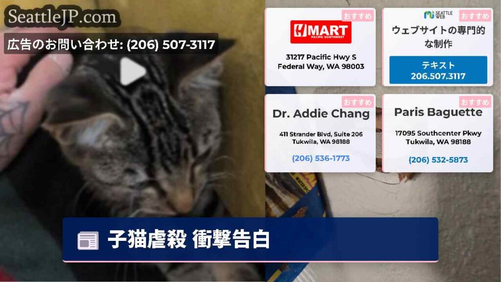 子猫虐殺 衝撃告白