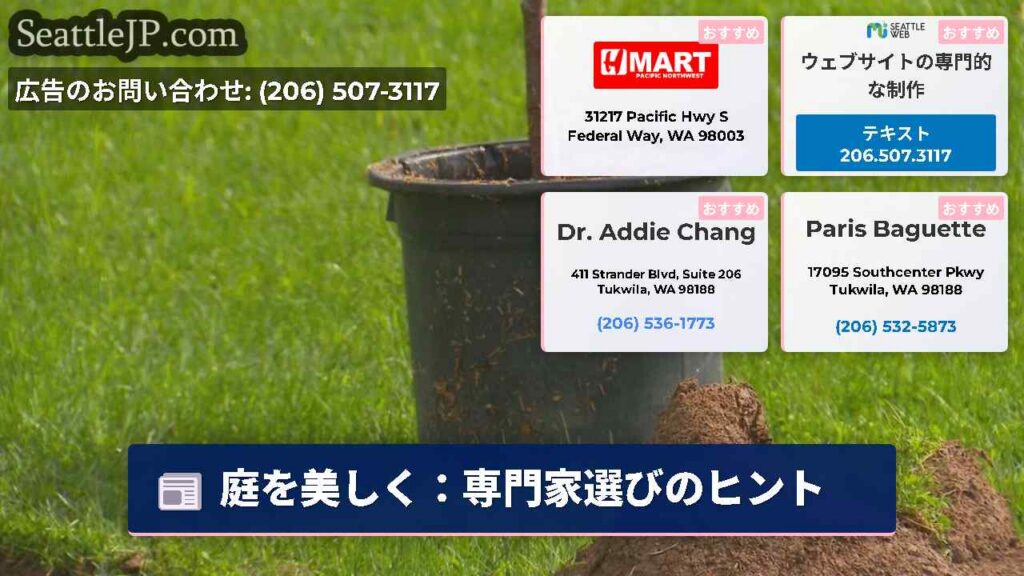 庭を美しく：専門家選びのヒント