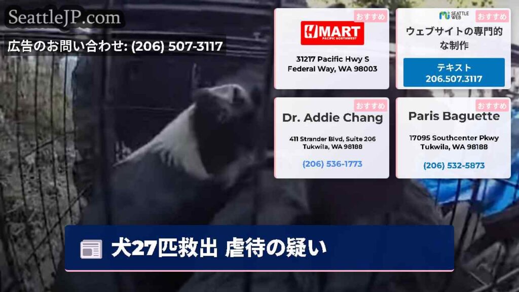 シアトルニュース 4 犬27匹救出 虐待の疑い