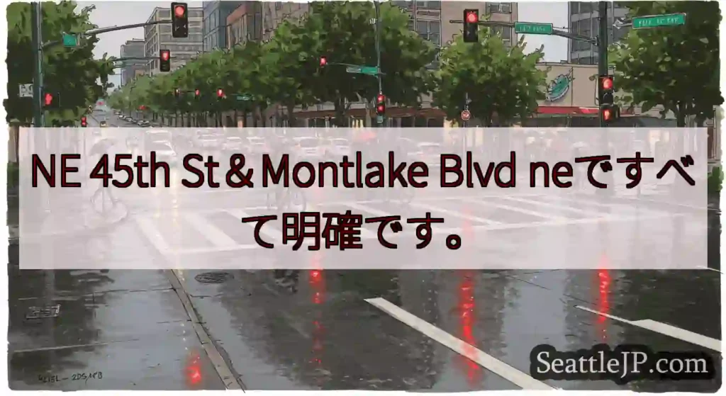 NE 45th St＆Montlake Blvd neですべて明確です。