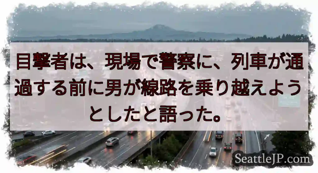 目撃者は、現場で警察に、列車が通過する前に男が線路を乗り越えようとしたと語った。