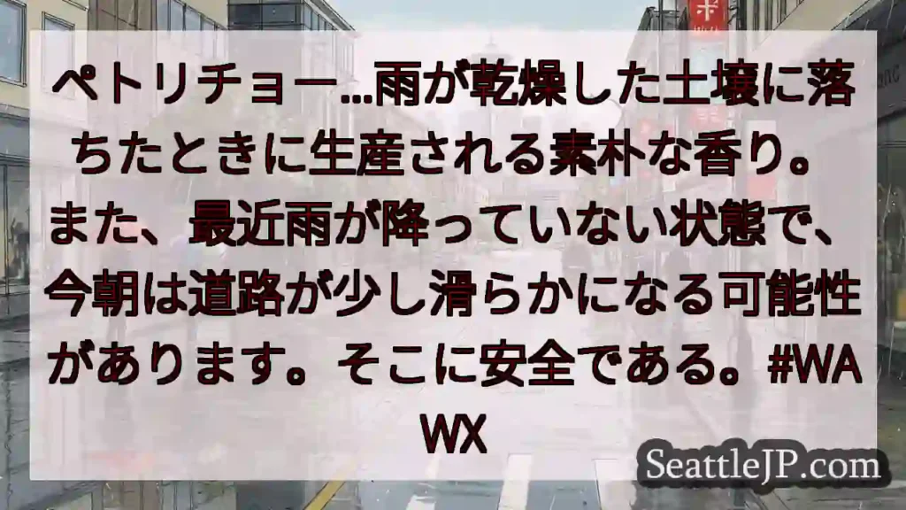 ペトリチョー...雨が乾燥した土壌に落ちたときに生産される素朴な香り。