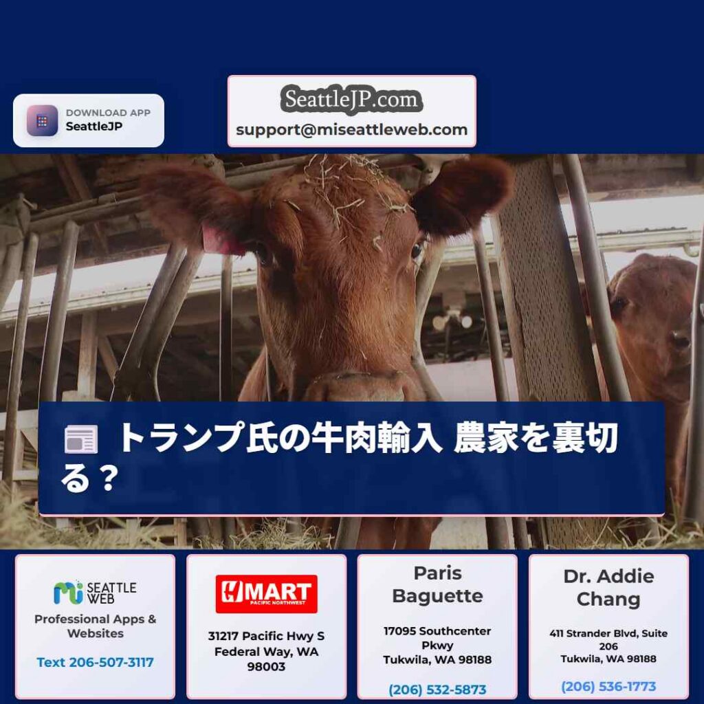 トランプ氏の牛肉輸入 農家を裏切る？