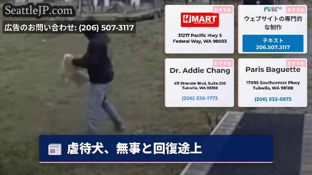 虐待犬、無事と回復途上