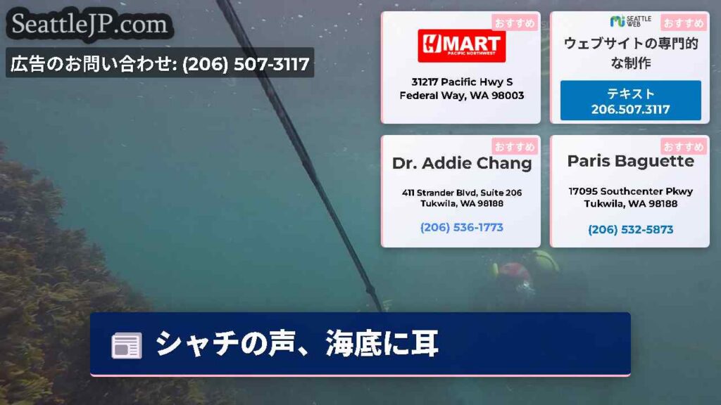 シャチの声、海底に耳