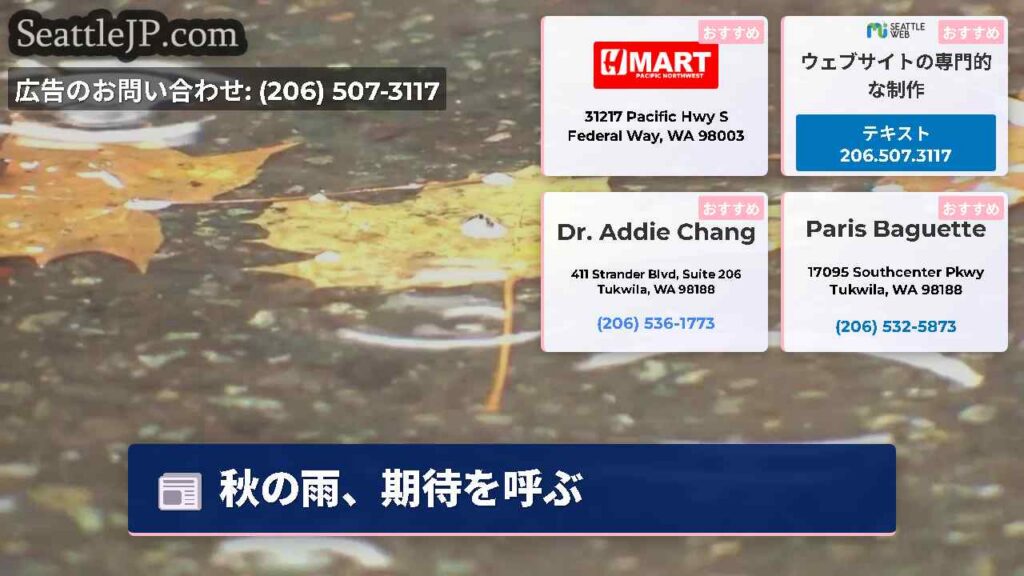 シアトルニュース 5 秋の雨、期待を呼ぶ