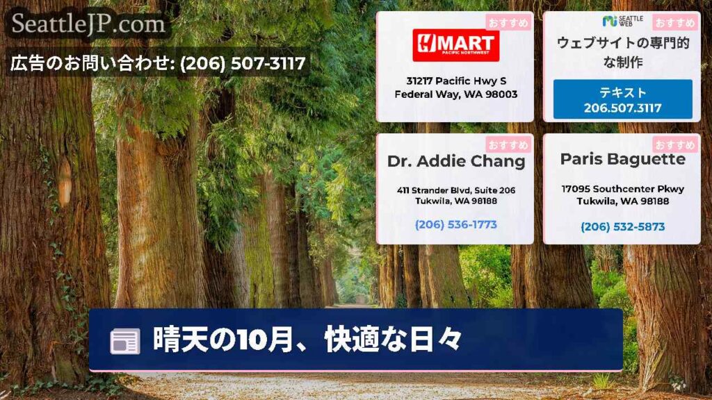 晴天の10月、快適な日々