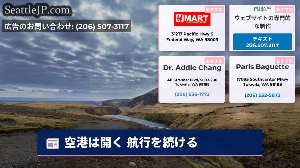 空港は開く 航行を続ける