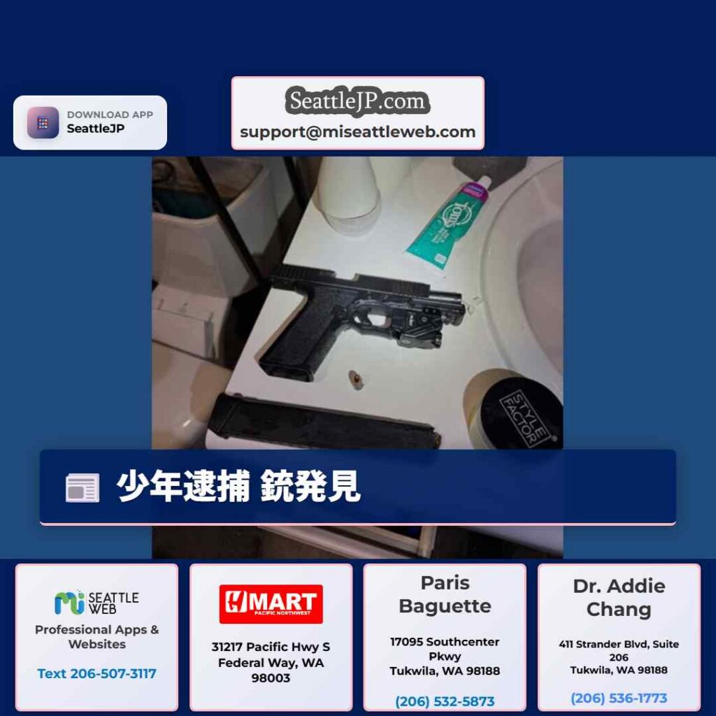 少年逮捕 銃発見