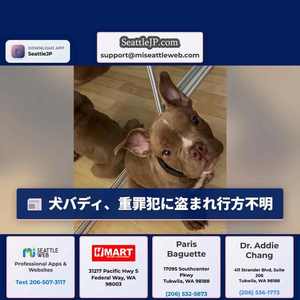 犬バディ、重罪犯に盗まれ行方不明