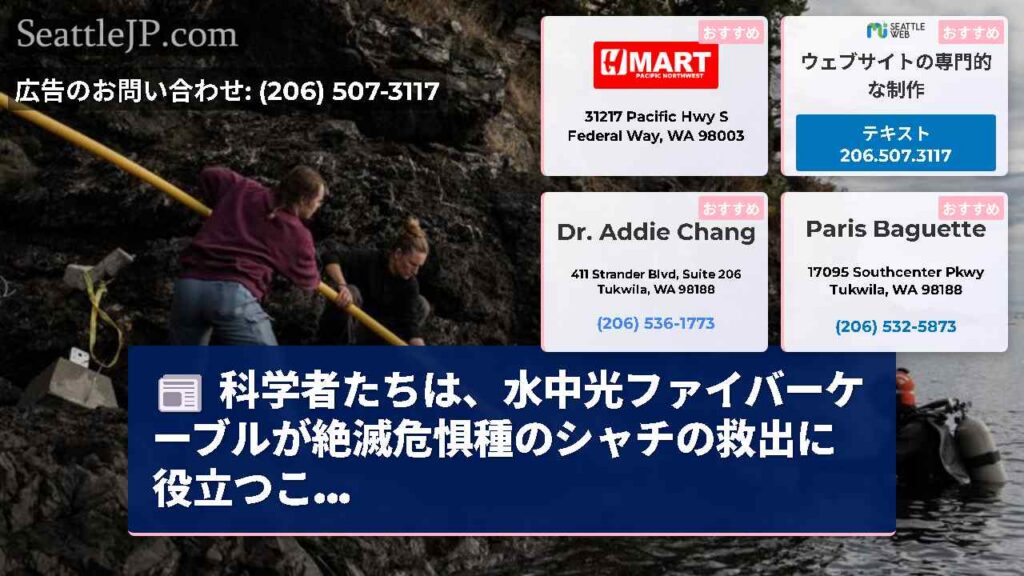シアトルニュース 5 科学者たちは、水中光ファイバーケーブルが絶滅危惧種のシャチの救出に役立つこ...