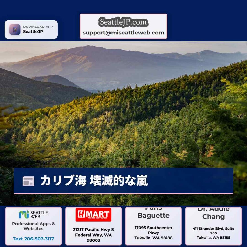 カリブ海 壊滅的な嵐