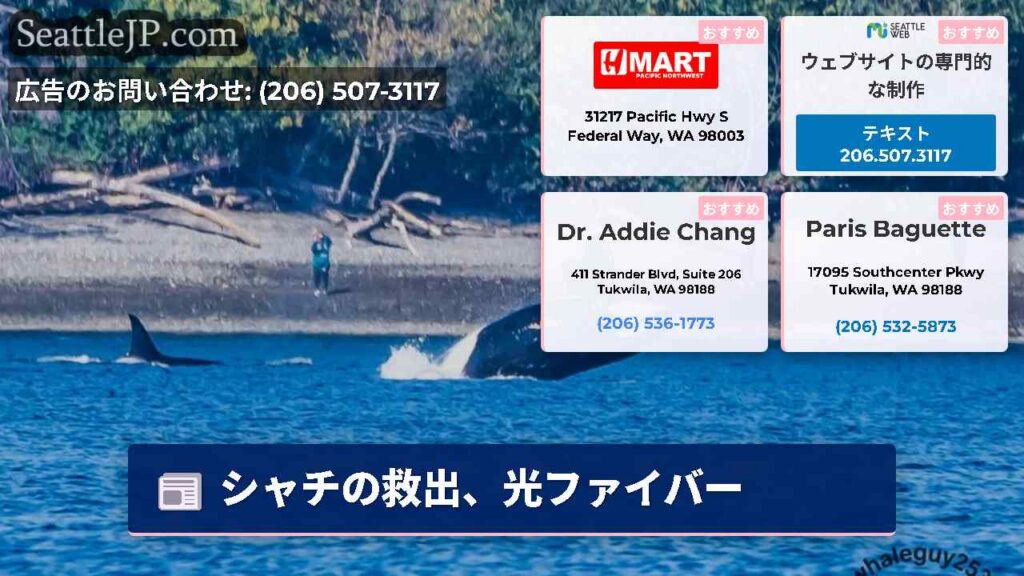 シャチの救出、光ファイバー