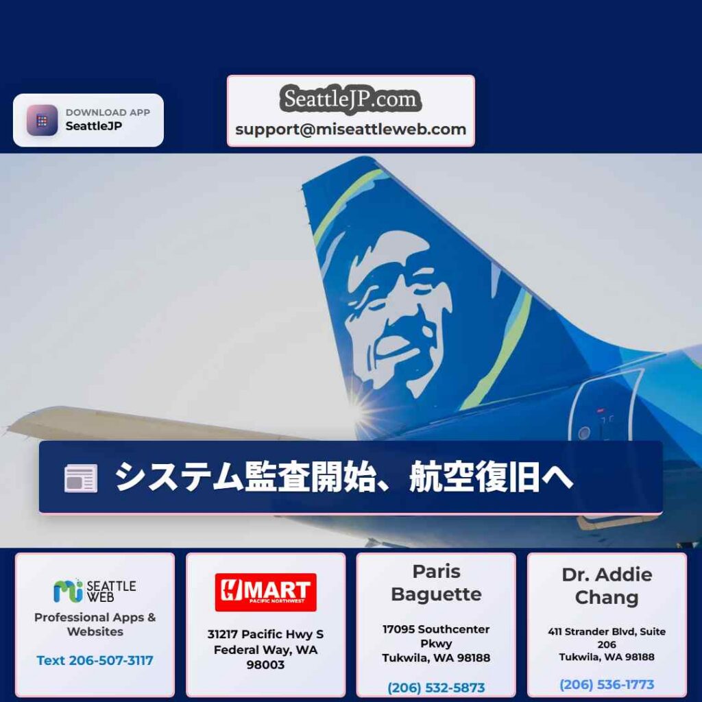 システム監査開始、航空復旧へ