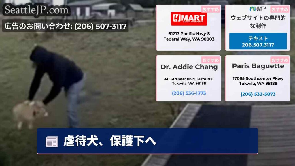 シアトルニュース 2 虐待犬、保護下へ