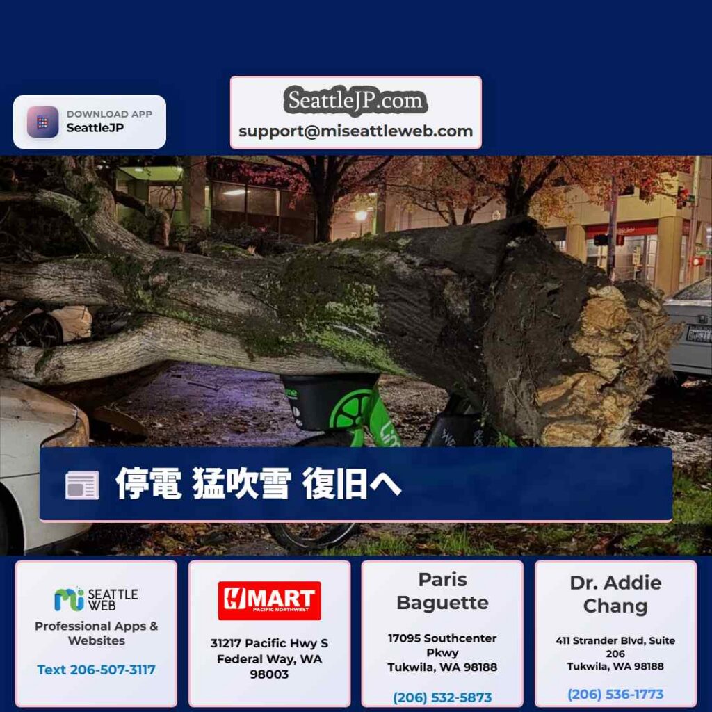 シアトルニュース 5 停電 猛吹雪 復旧へ