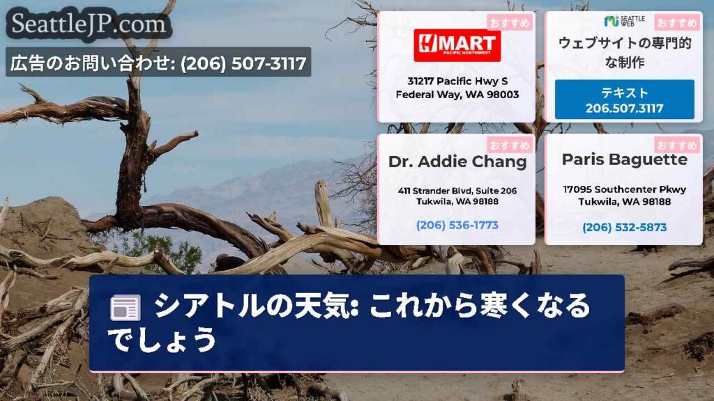 シアトルの天気: これから寒くなるでしょう