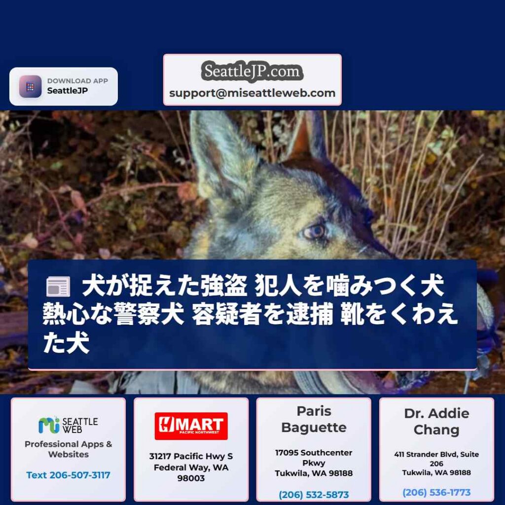 犬が捉えた強盗 犯人を噛みつく犬 熱心な警察犬 容疑者を逮捕 靴をくわえた犬