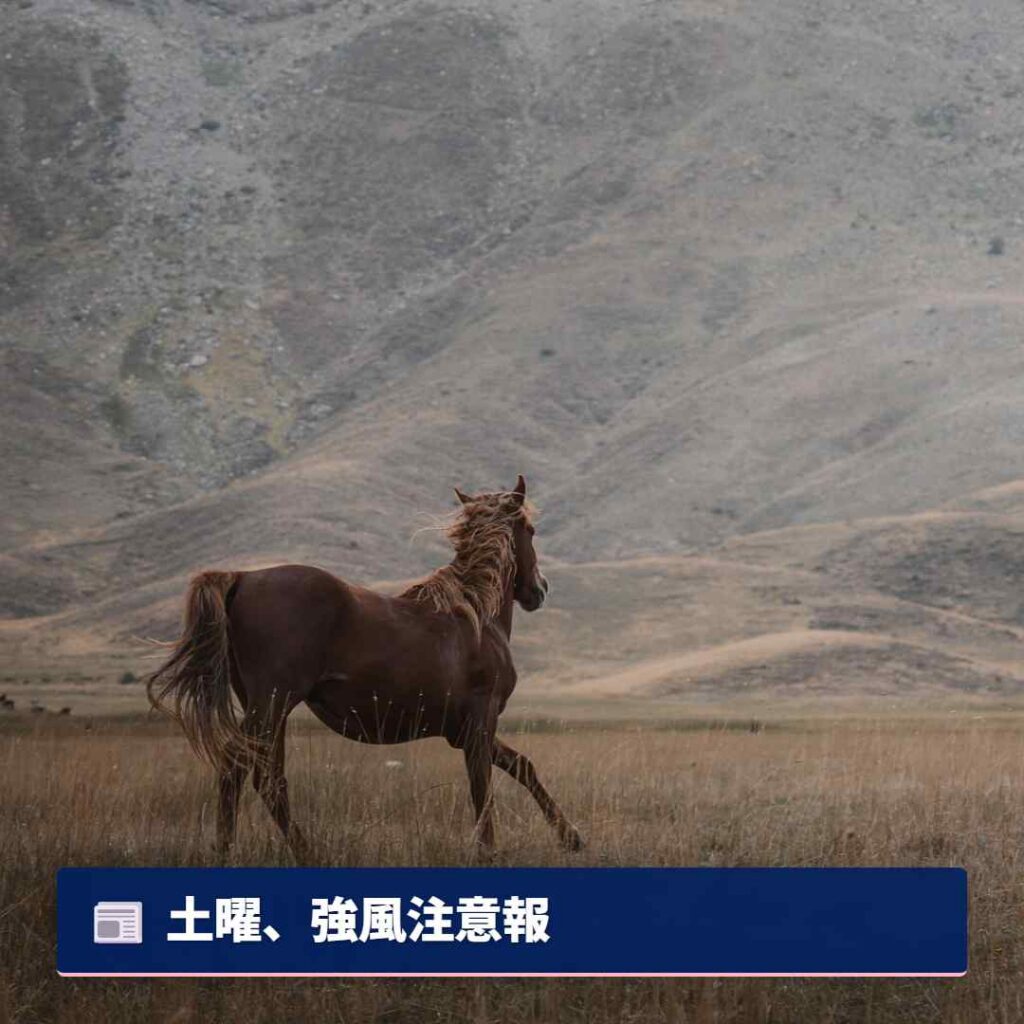 土曜、強風注意報
