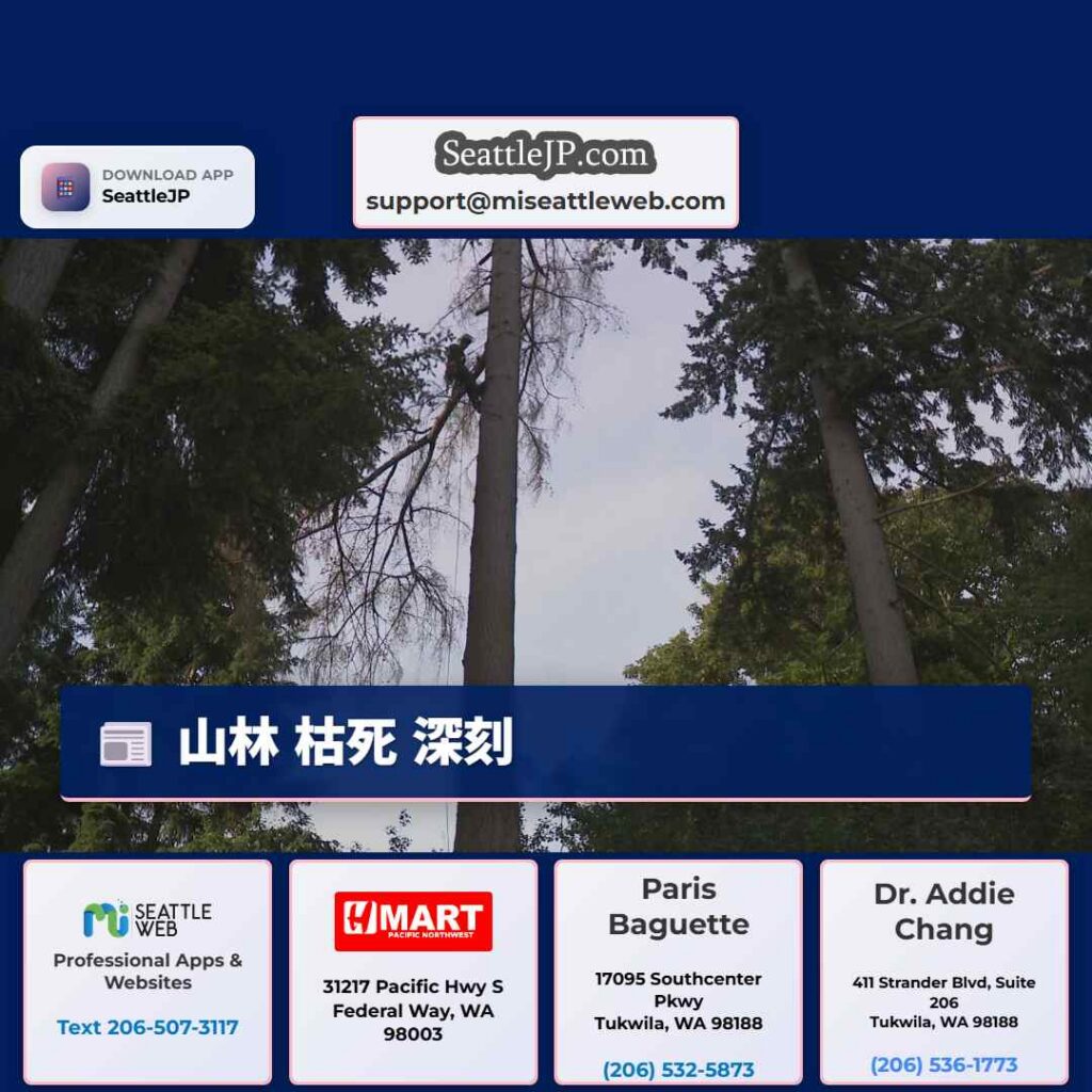 山林 枯死 深刻