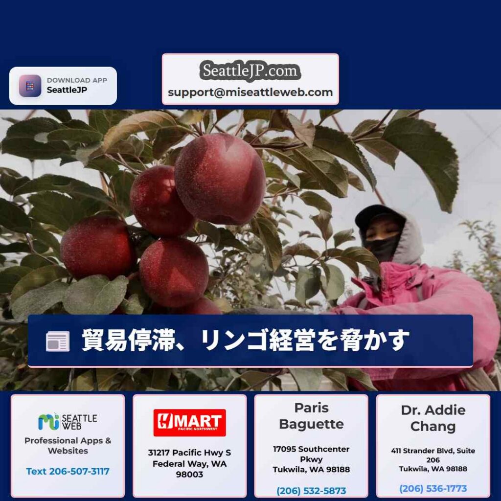 シアトルニュース 5 貿易停滞、リンゴ経営を脅かす