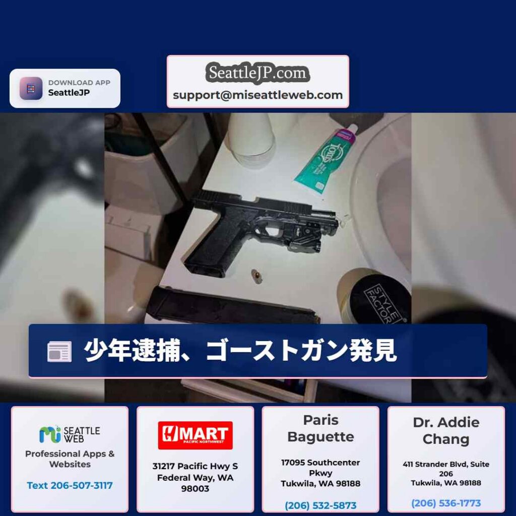 少年逮捕、ゴーストガン発見
