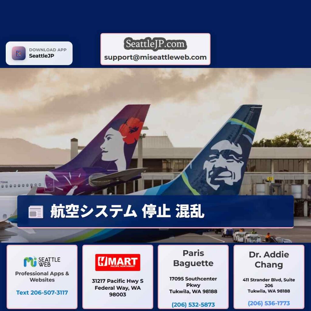 航空システム 停止 混乱