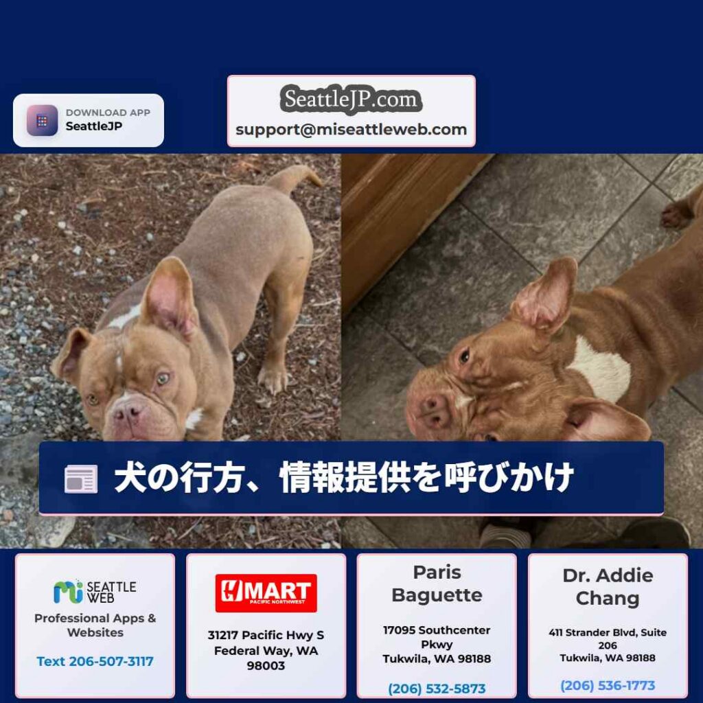 犬の行方、情報提供を呼びかけ