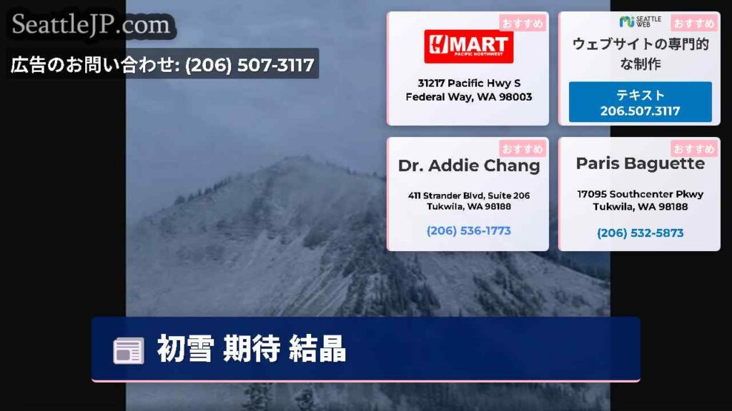 初雪 期待 結晶