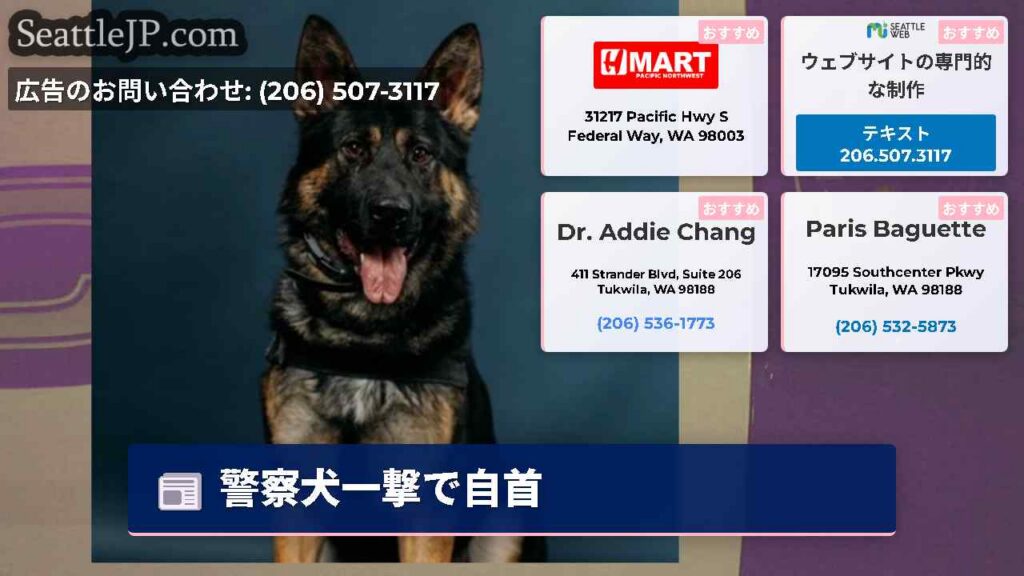 シアトルニュース 2 警察犬一撃で自首