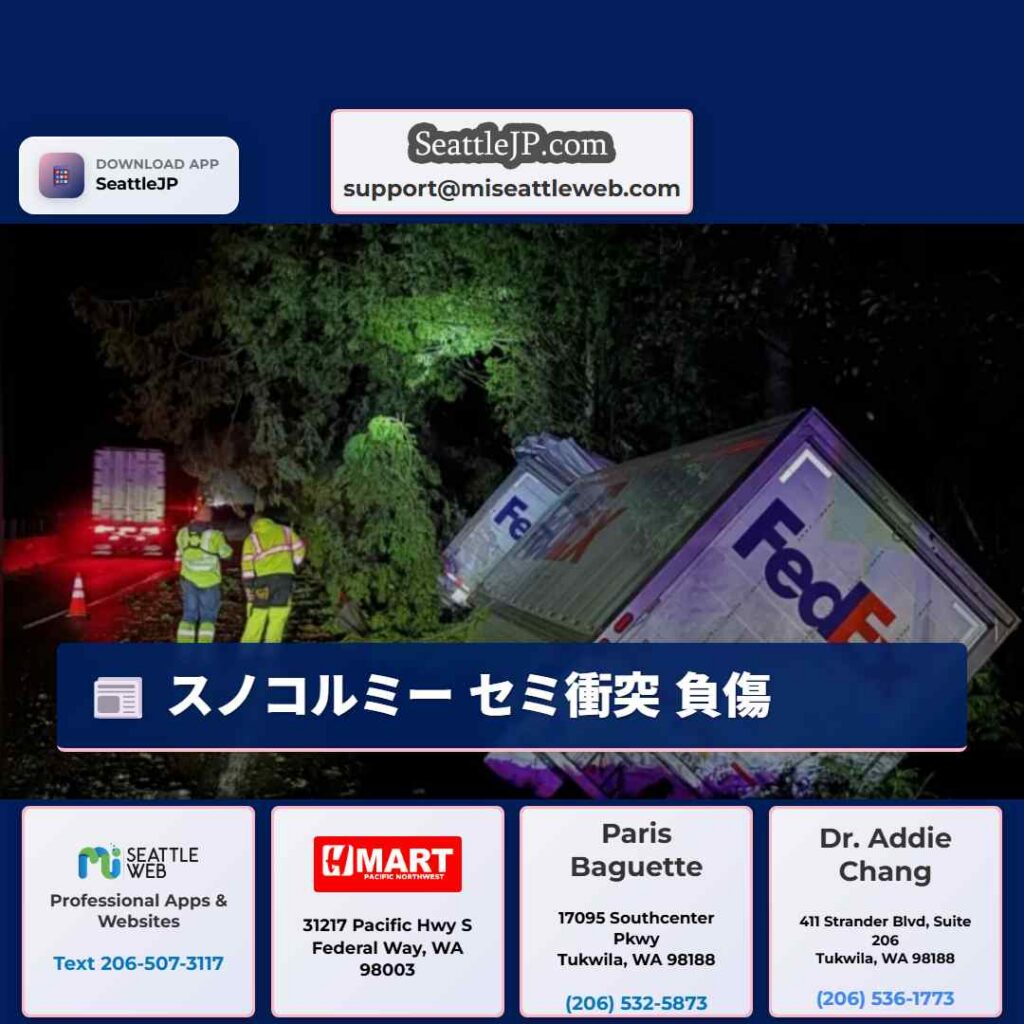 スノコルミー セミ衝突 負傷