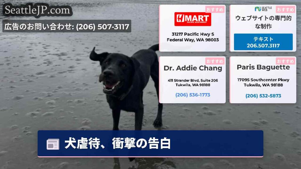 犬虐待、衝撃の告白