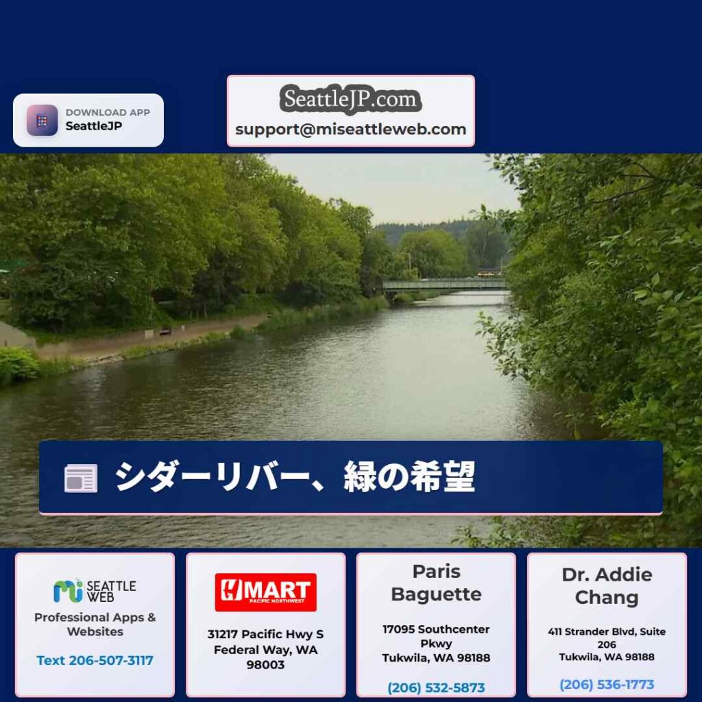 シダーリバー、緑の希望