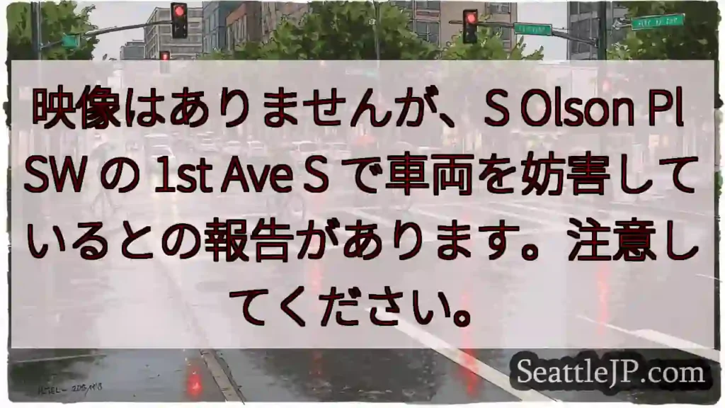 映像はありませんが、S Olson Pl SW の 1st Ave S