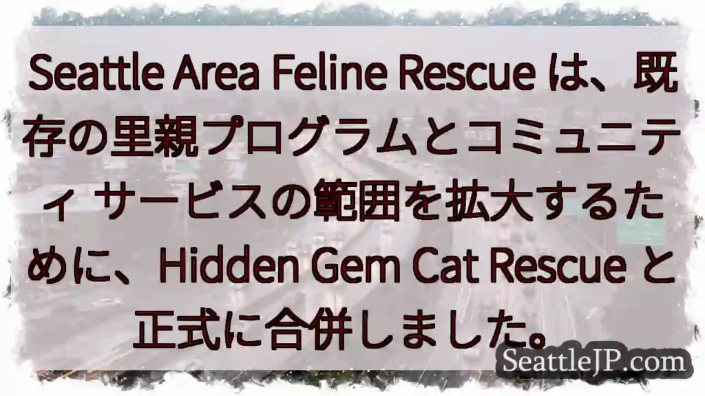 Seattle Area Feline Rescue は、既存の里親プログラムとコミュニティ