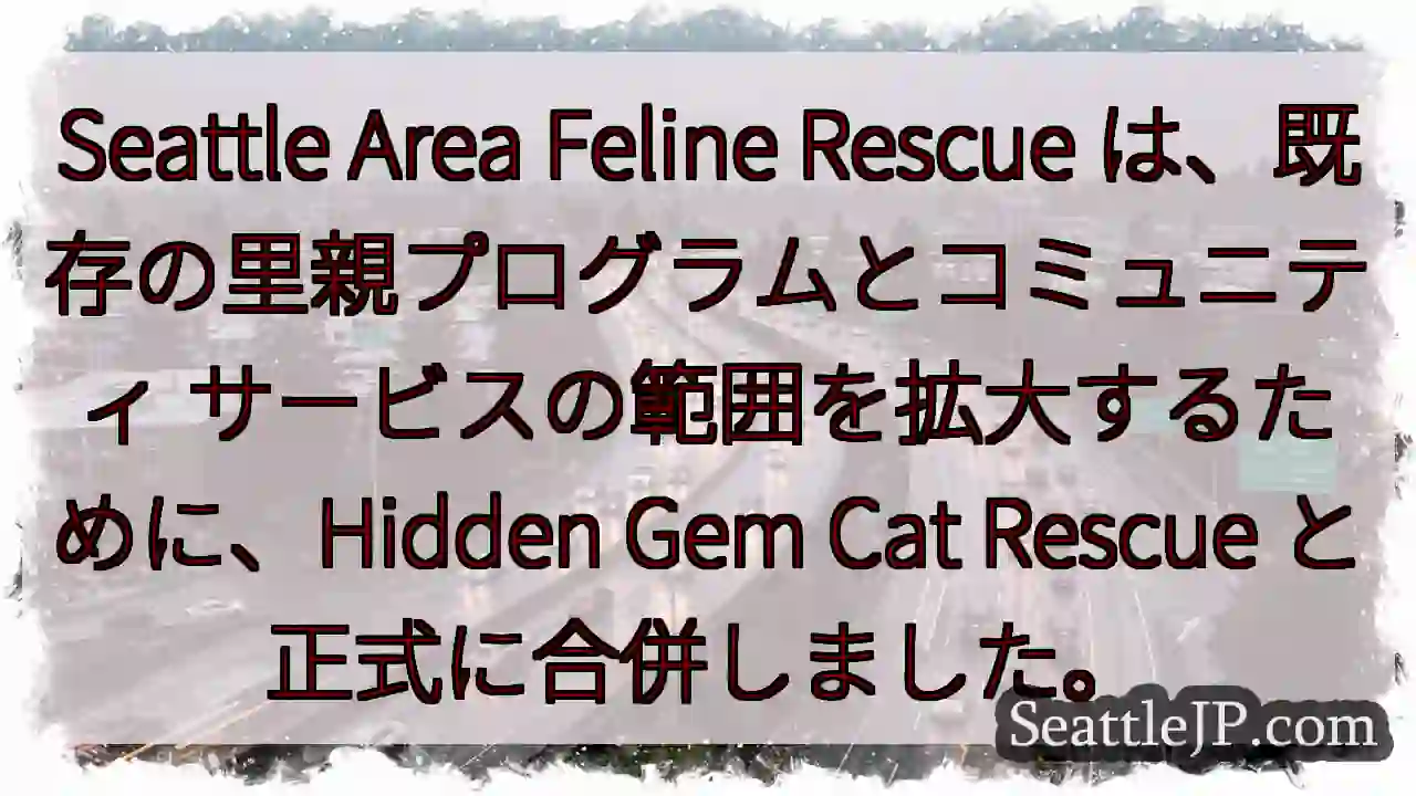 Seattle Area Feline Rescue は、既存の里親プログラムとコミュニティ