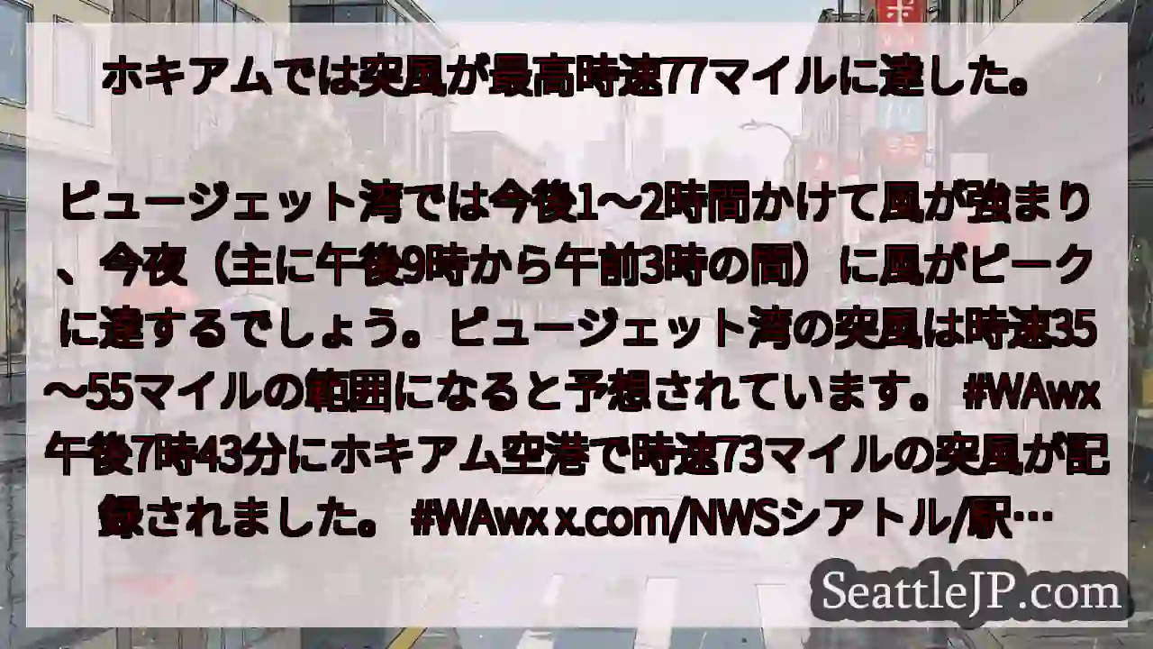 ホキアムでは突風が最高時速77マイルに達した。
