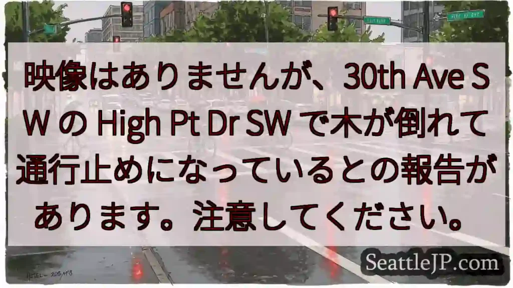 映像はありませんが、30th Ave SW の High Pt Dr SW