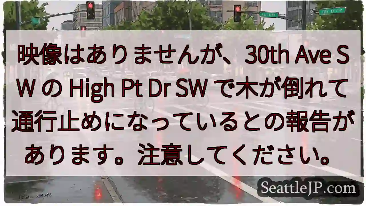 映像はありませんが、30th Ave SW の High Pt Dr SW
